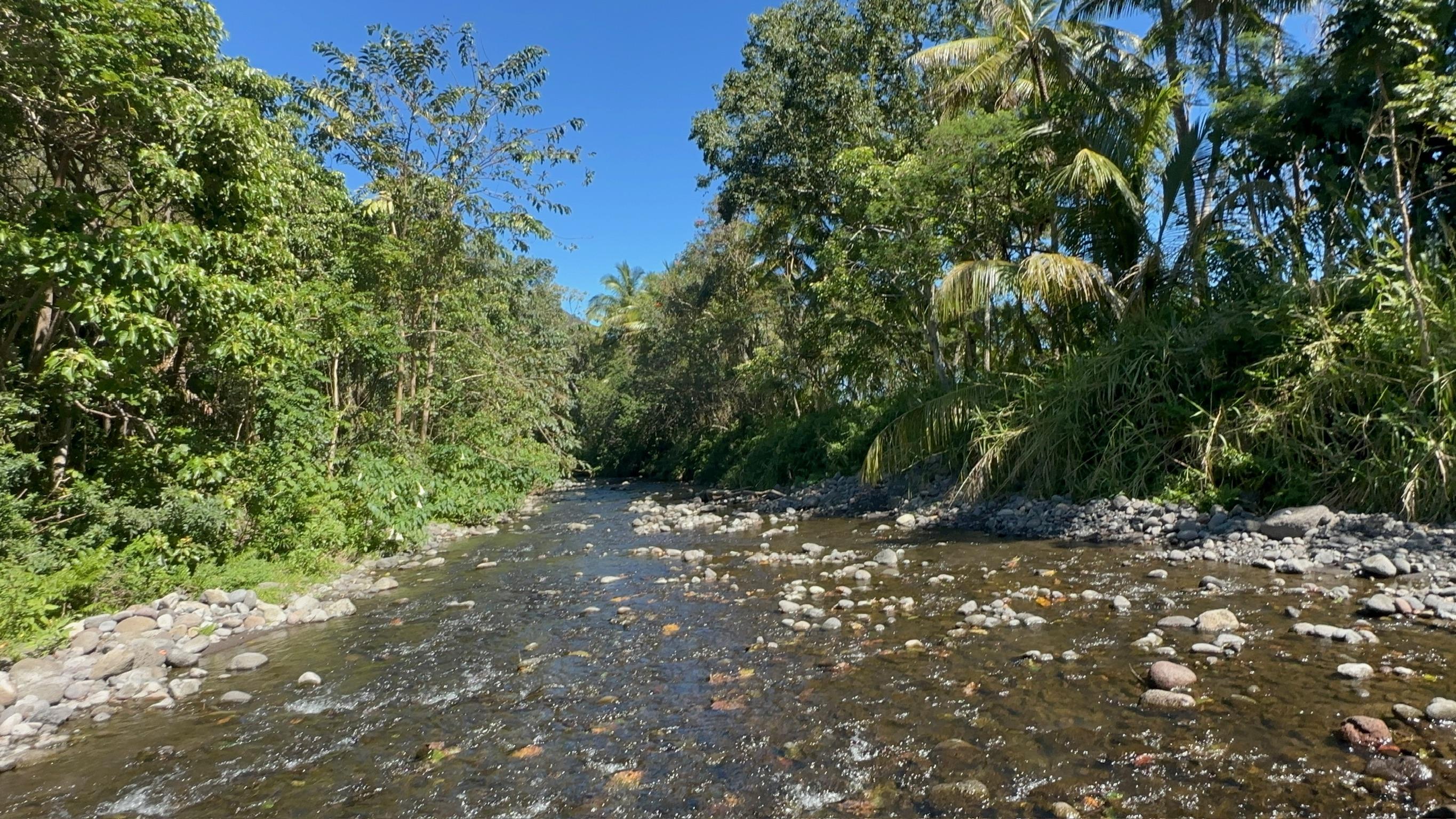 Waipiʻo valley panorama