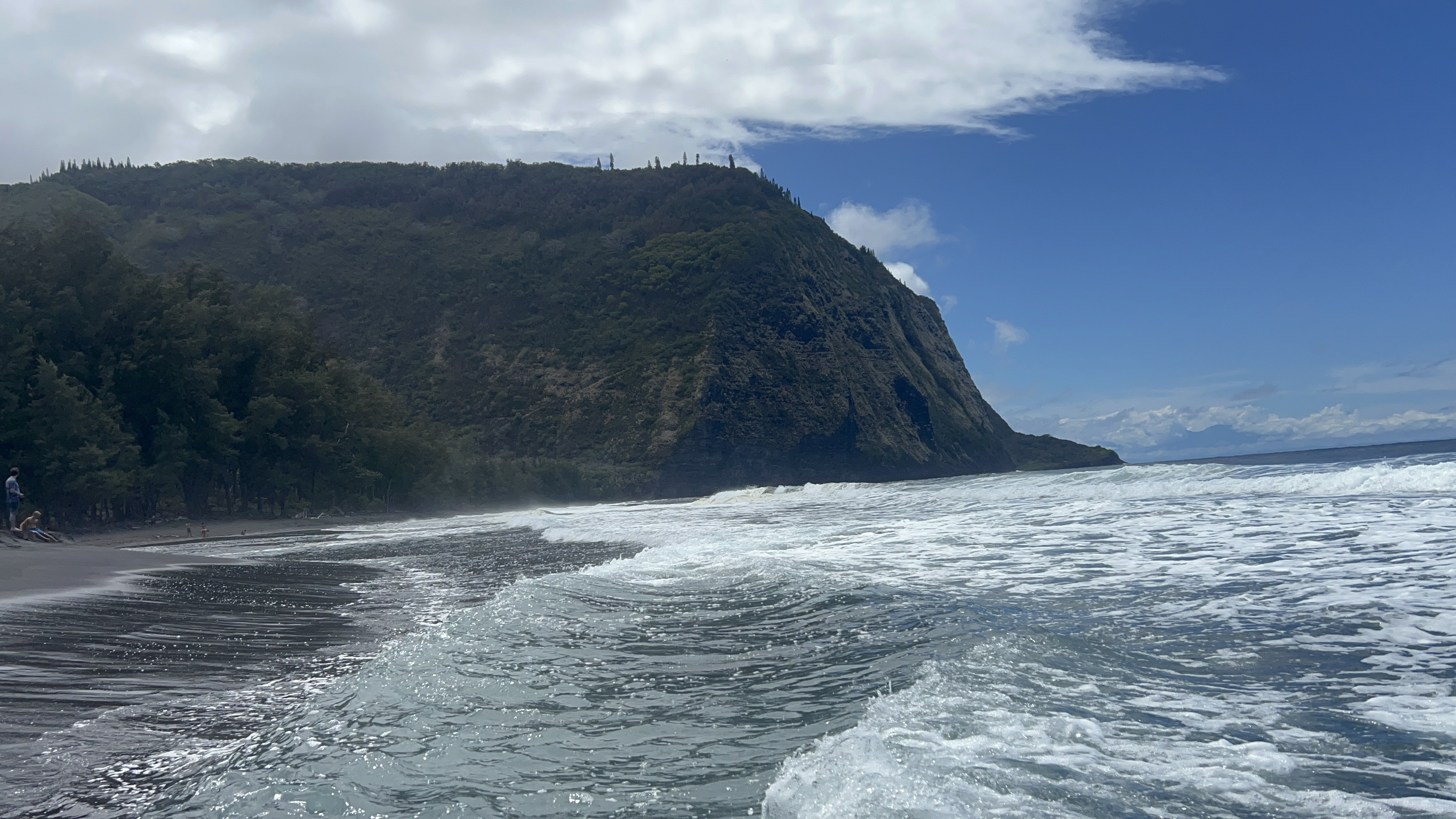 River and taro fields